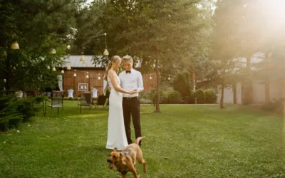 Reportaż z wesela w naturalnych kardach