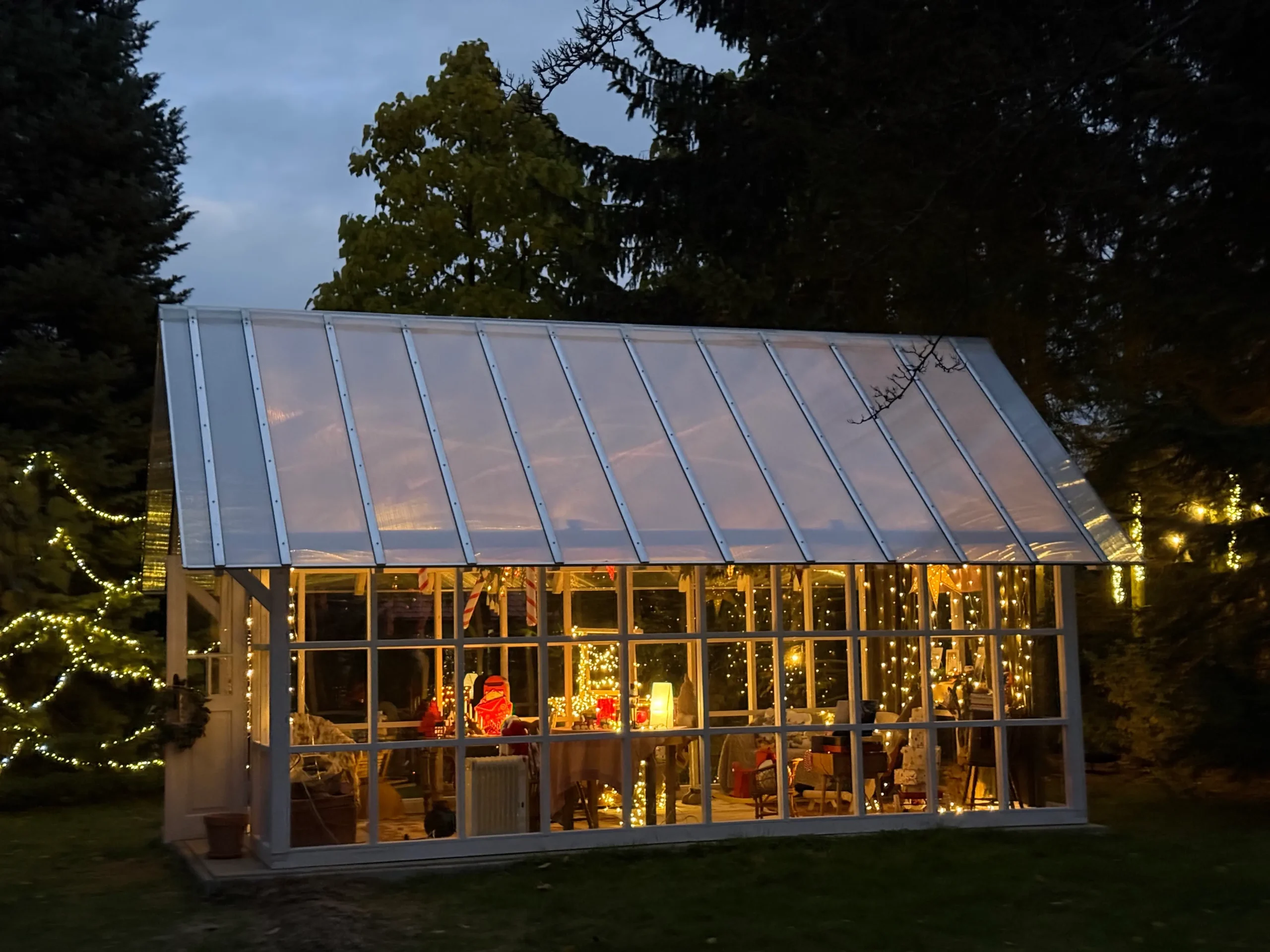 fotograf, sesja wśród słoneczników